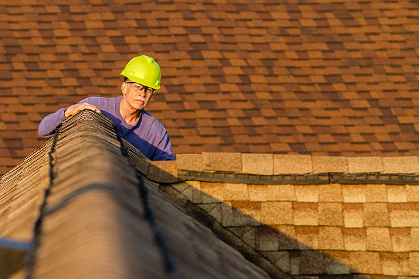 Best Roof Gutter Cleaning  in North Belle Vernon, PA