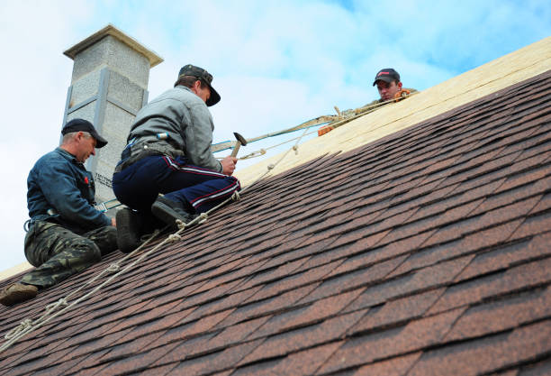 Best Emergency Roof Repair  in North Belle Vernon, PA
